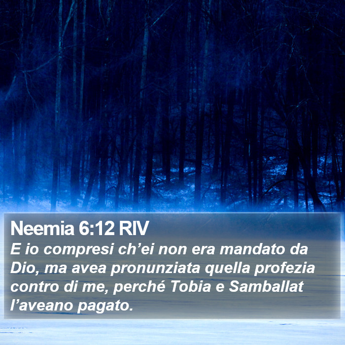 Neemia 6:12 RIV Bible Study