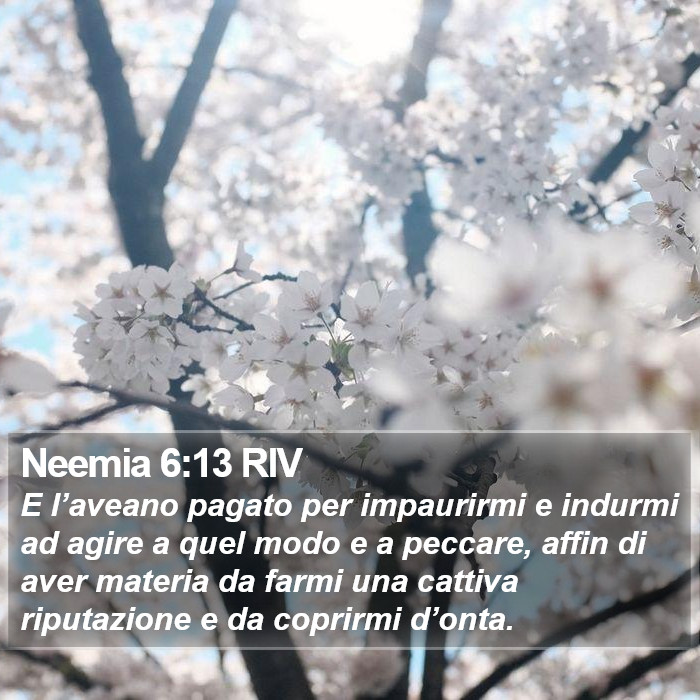 Neemia 6:13 RIV Bible Study
