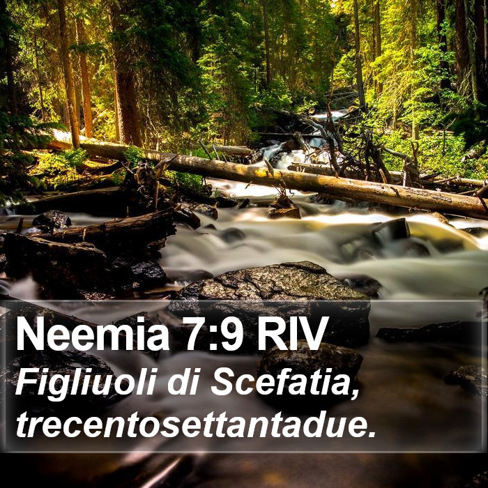 Neemia 7:9 RIV Bible Study