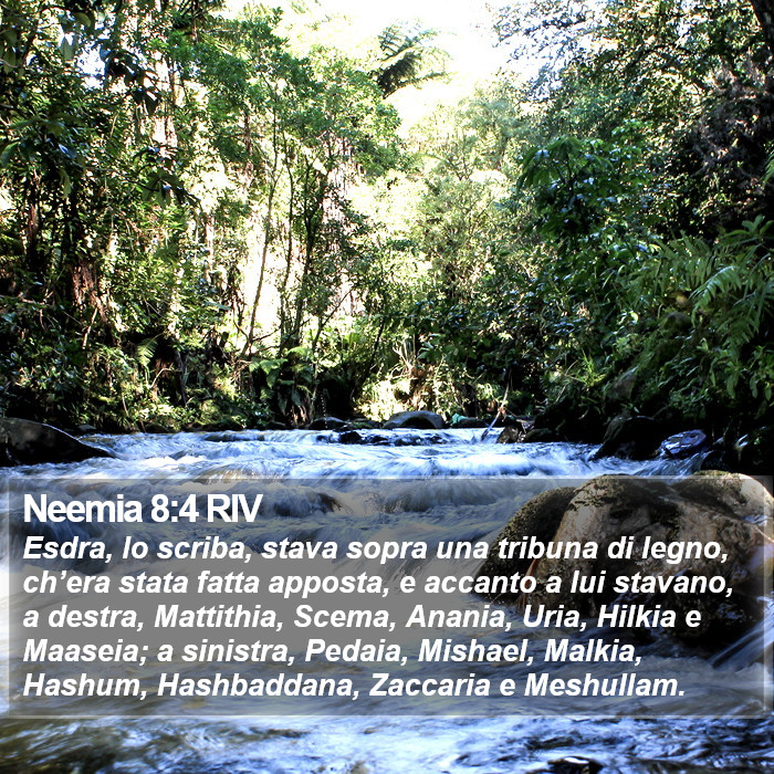 Neemia 8:4 RIV Bible Study