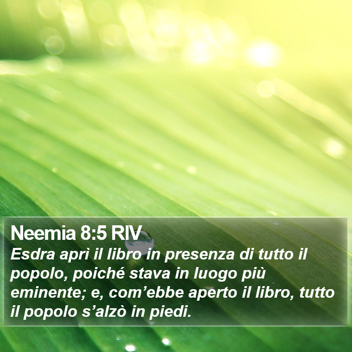 Neemia 8:5 RIV Bible Study