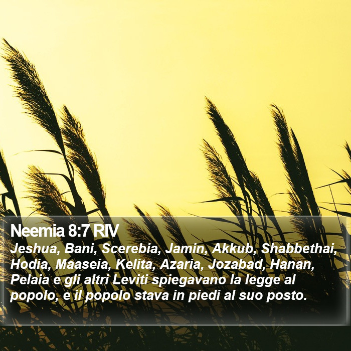 Neemia 8:7 RIV Bible Study