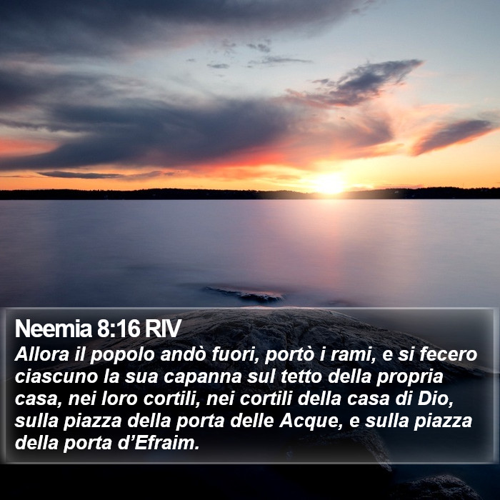 Neemia 8:16 RIV Bible Study