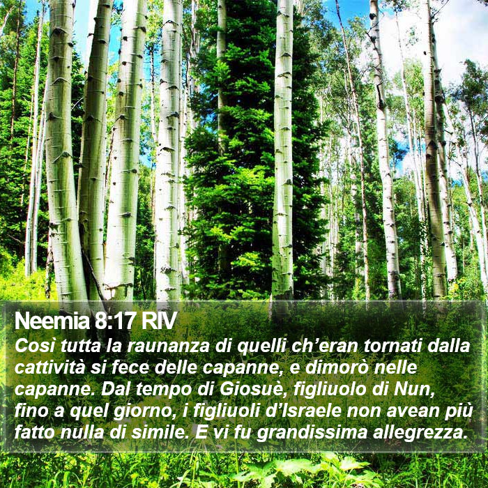 Neemia 8:17 RIV Bible Study