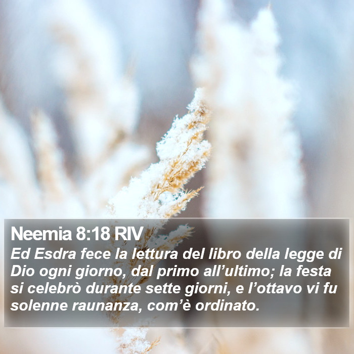 Neemia 8:18 RIV Bible Study