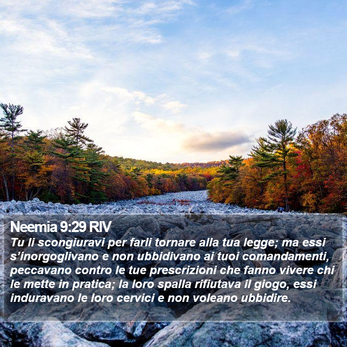 Neemia 9:29 RIV Bible Study