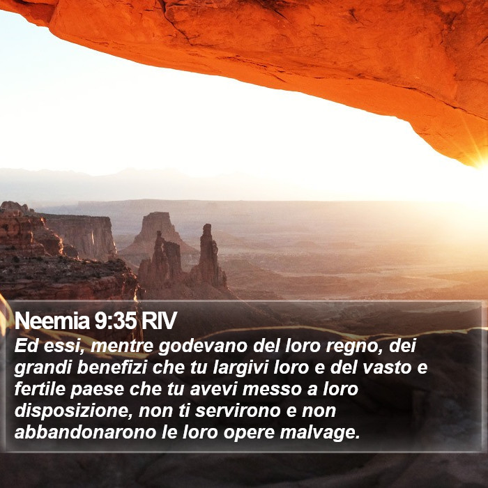 Neemia 9:35 RIV Bible Study