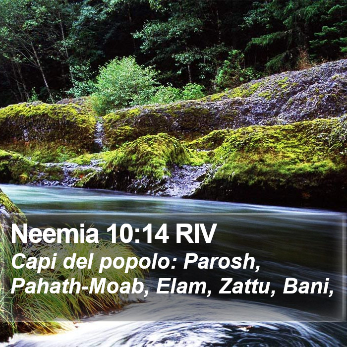 Neemia 10:14 RIV Bible Study