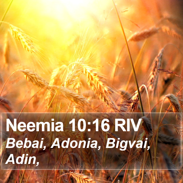 Neemia 10:16 RIV Bible Study