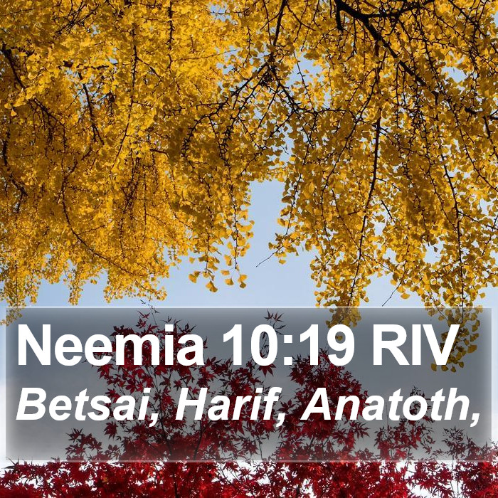 Neemia 10:19 RIV Bible Study