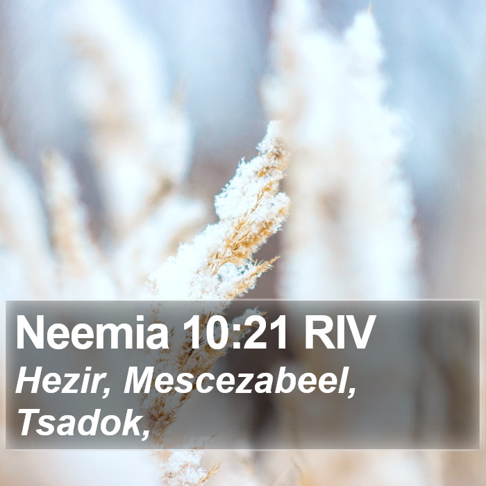 Neemia 10:21 RIV Bible Study