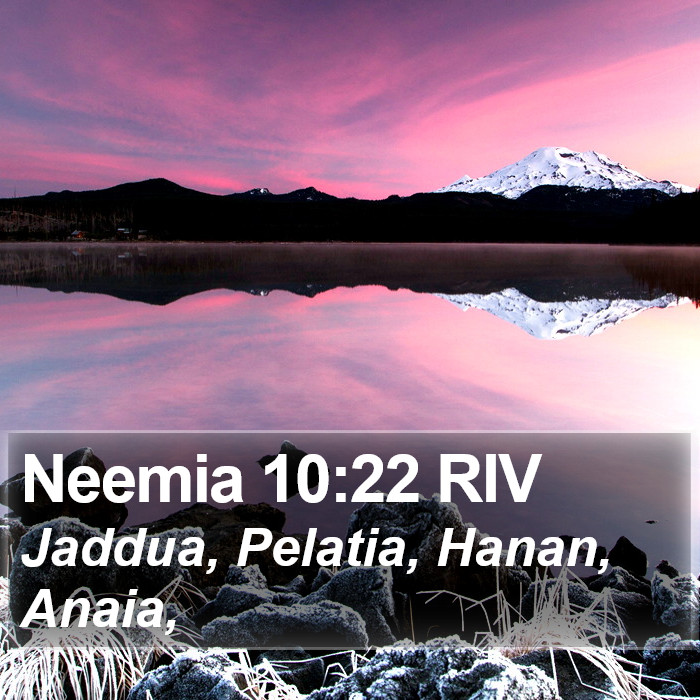 Neemia 10:22 RIV Bible Study