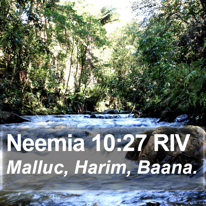 Neemia 10:27 RIV Bible Study