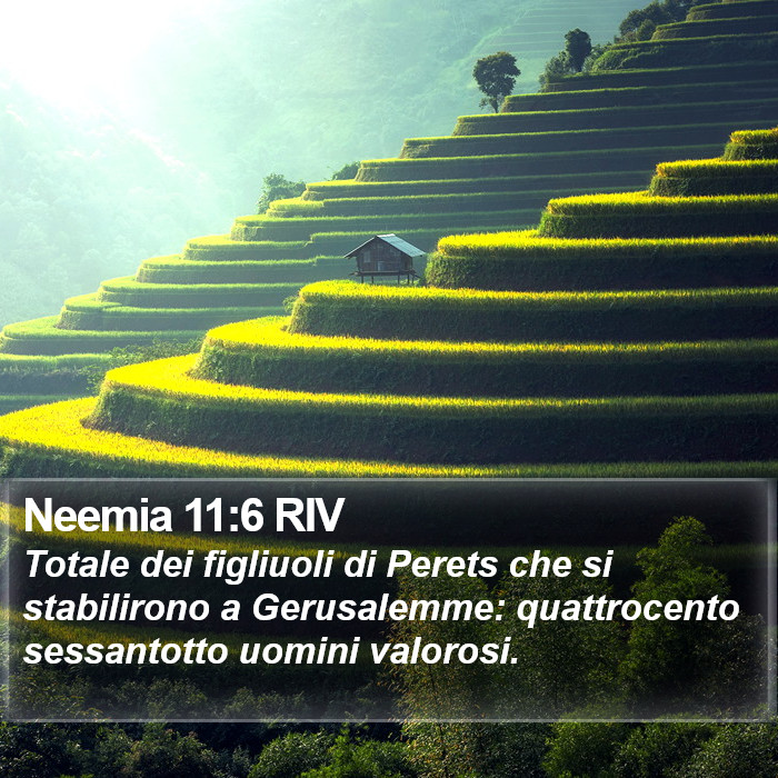 Neemia 11:6 RIV Bible Study