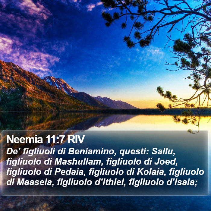 Neemia 11:7 RIV Bible Study