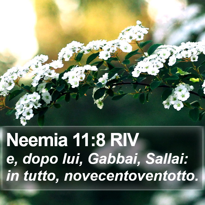 Neemia 11:8 RIV Bible Study