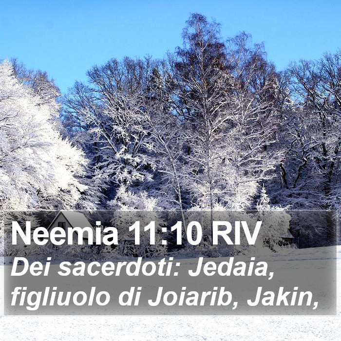 Neemia 11:10 RIV Bible Study