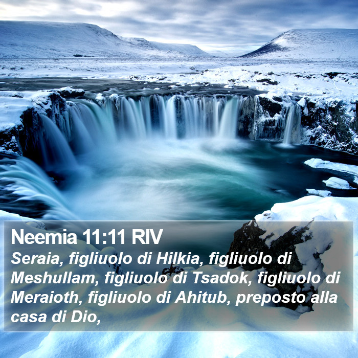 Neemia 11:11 RIV Bible Study