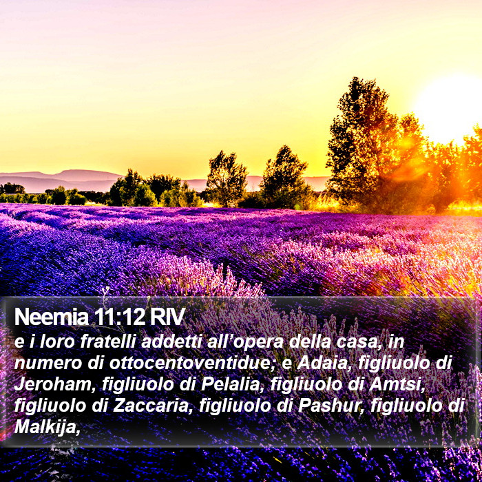 Neemia 11:12 RIV Bible Study