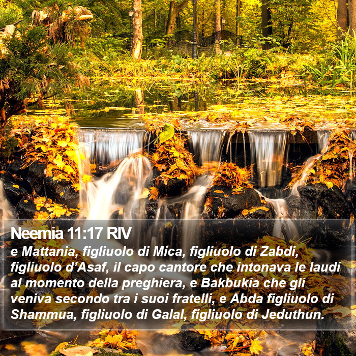 Neemia 11:17 RIV Bible Study