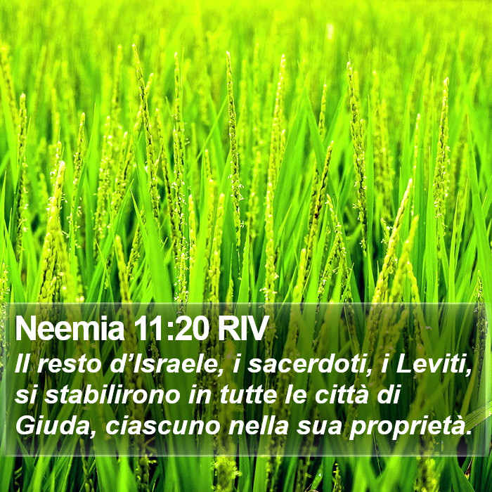 Neemia 11:20 RIV Bible Study