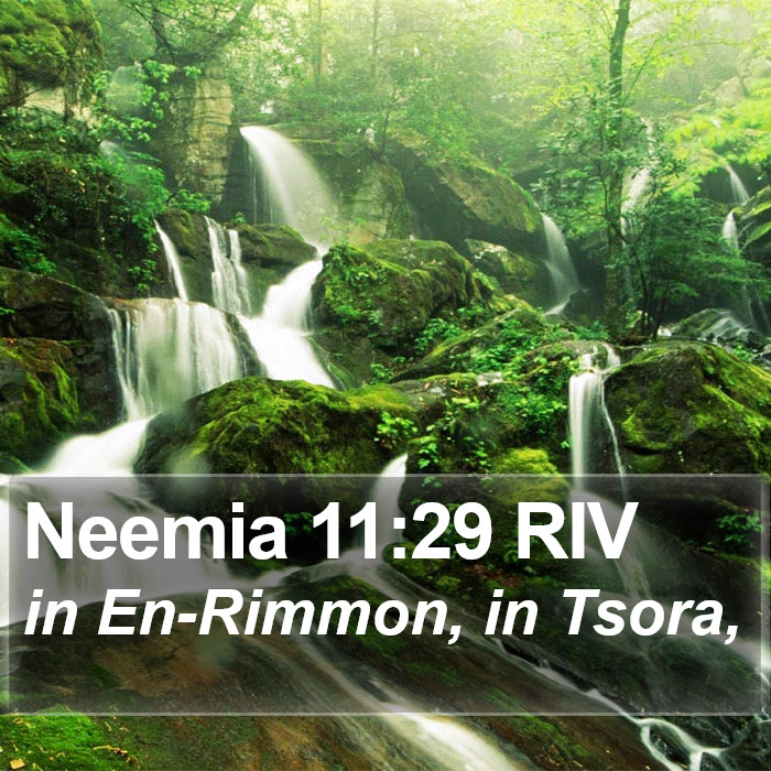 Neemia 11:29 RIV Bible Study