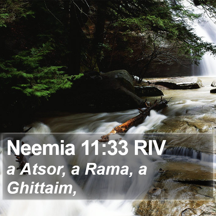 Neemia 11:33 RIV Bible Study