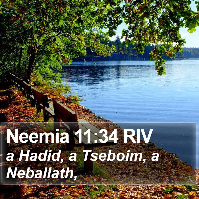 Neemia 11:34 RIV Bible Study