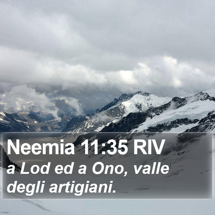 Neemia 11:35 RIV Bible Study