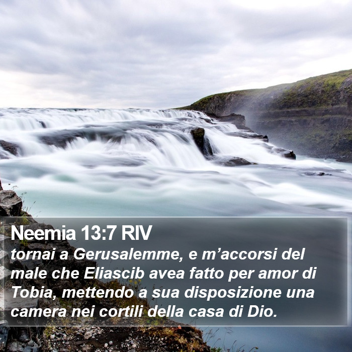 Neemia 13:7 RIV Bible Study