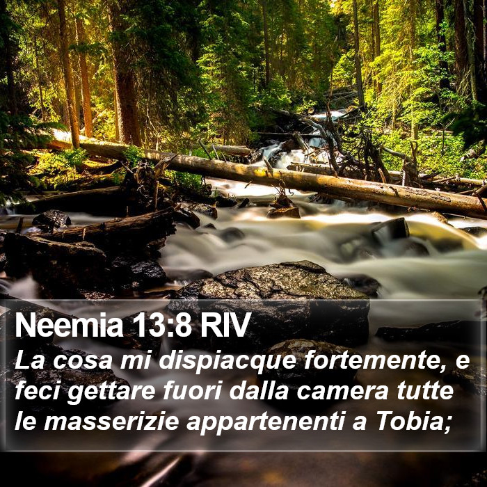 Neemia 13:8 RIV Bible Study