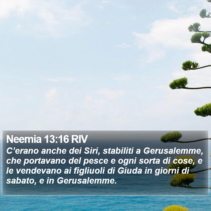 Neemia 13:16 RIV Bible Study