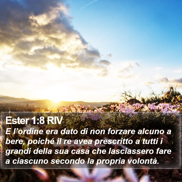 Ester 1:8 RIV Bible Study