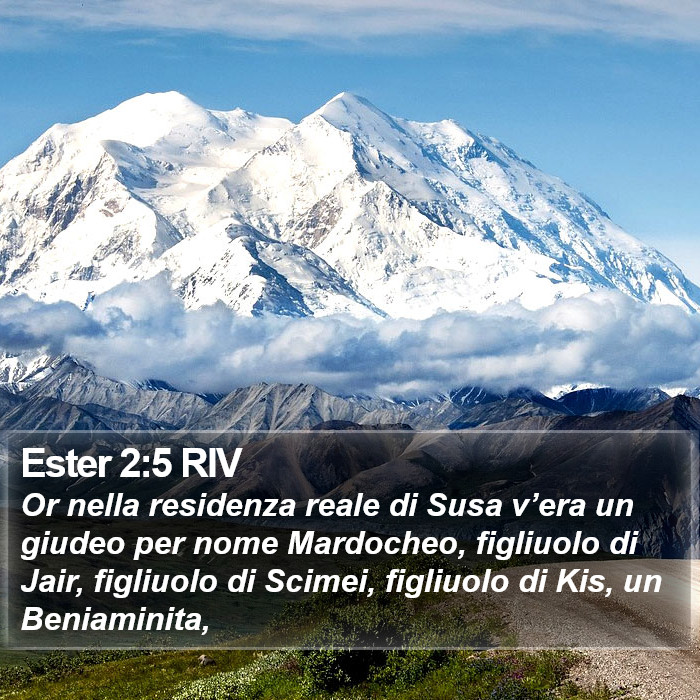 Ester 2:5 RIV Bible Study