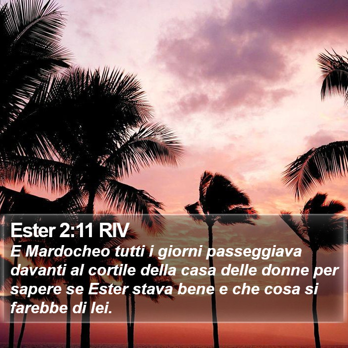 Ester 2:11 RIV Bible Study