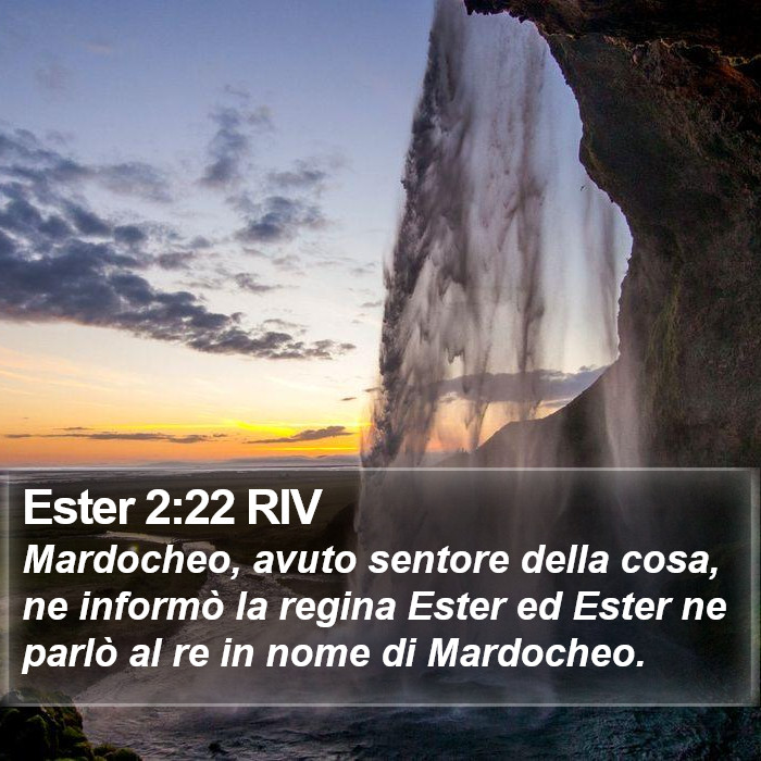 Ester 2:22 RIV Bible Study