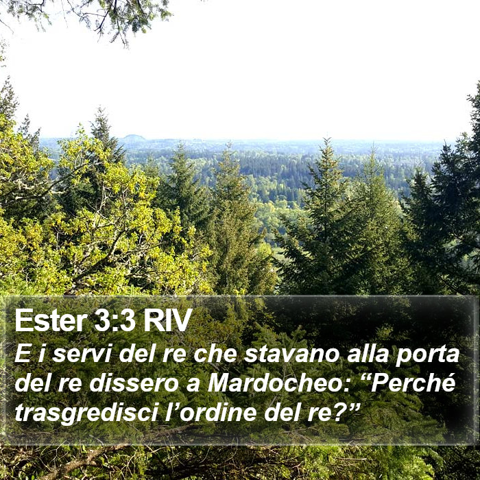 Ester 3:3 RIV Bible Study