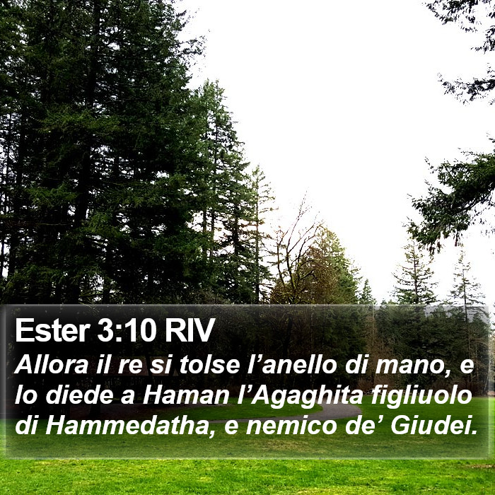 Ester 3:10 RIV Bible Study