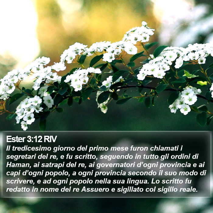 Ester 3:12 RIV Bible Study