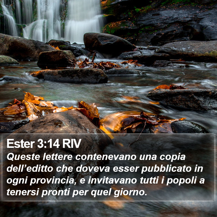 Ester 3:14 RIV Bible Study