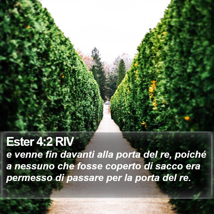 Ester 4:2 RIV Bible Study