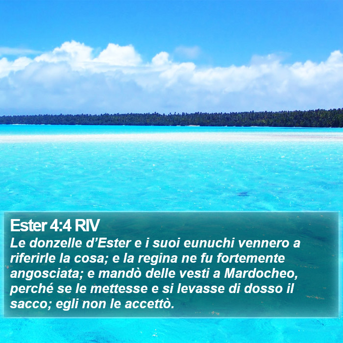 Ester 4:4 RIV Bible Study