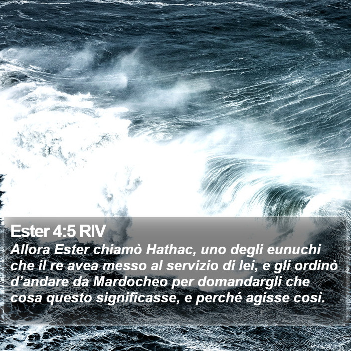 Ester 4:5 RIV Bible Study