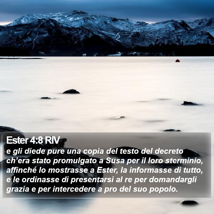 Ester 4:8 RIV Bible Study