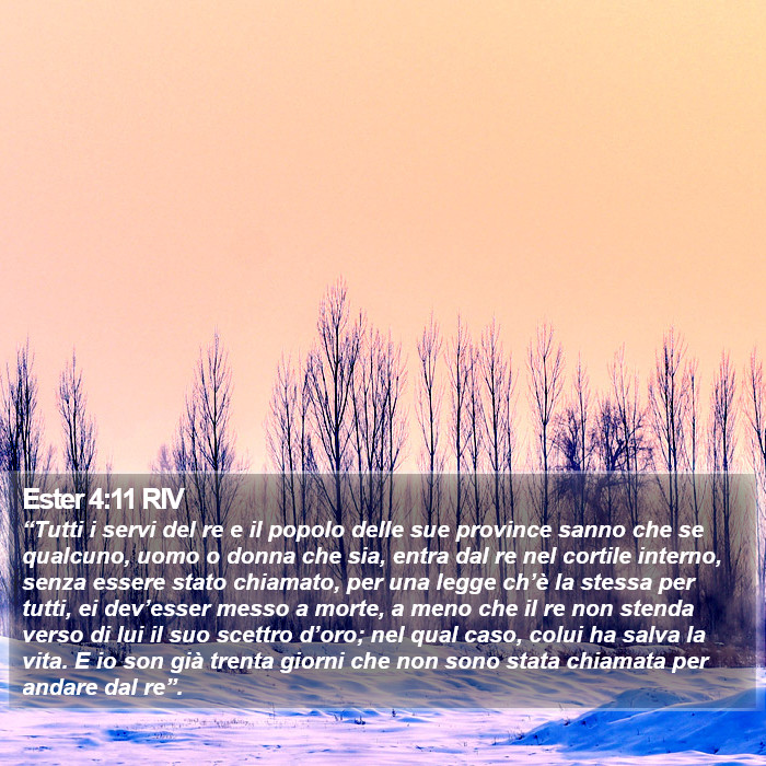 Ester 4:11 RIV Bible Study
