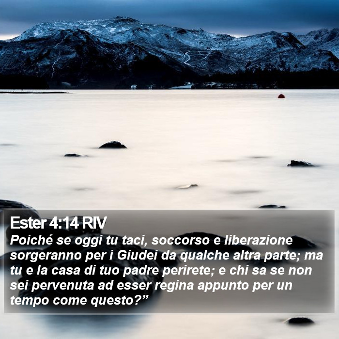 Ester 4:14 RIV Bible Study