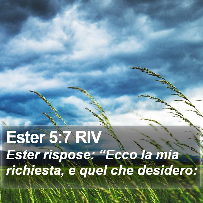 Ester 5:7 RIV Bible Study