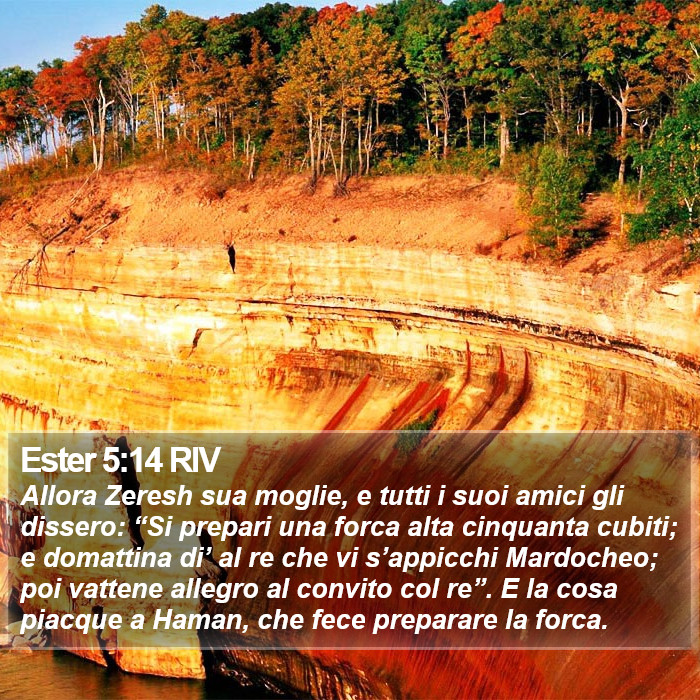 Ester 5:14 RIV Bible Study