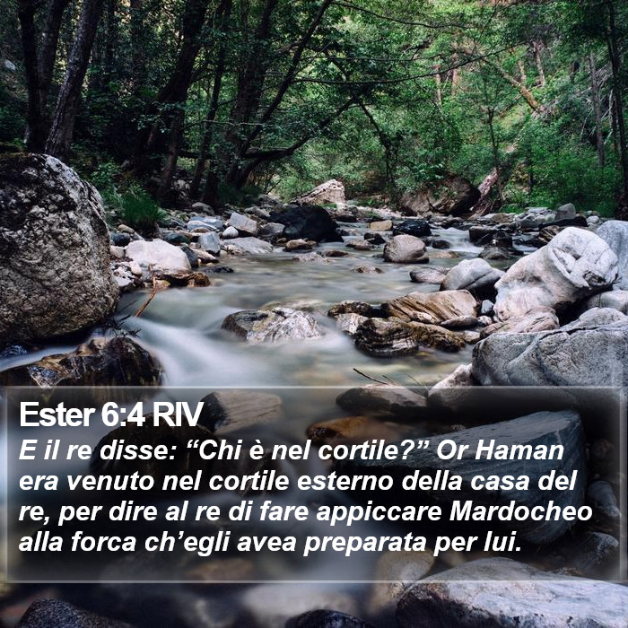 Ester 6:4 RIV Bible Study