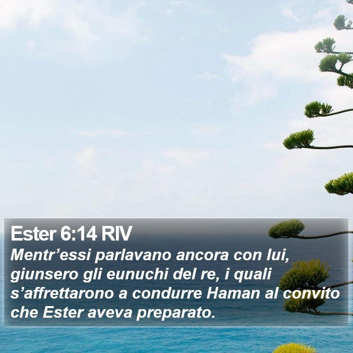 Ester 6:14 RIV Bible Study
